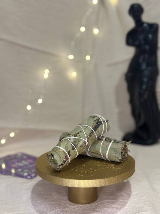 Bâton d’Eucalyptus | Purification & Clarté