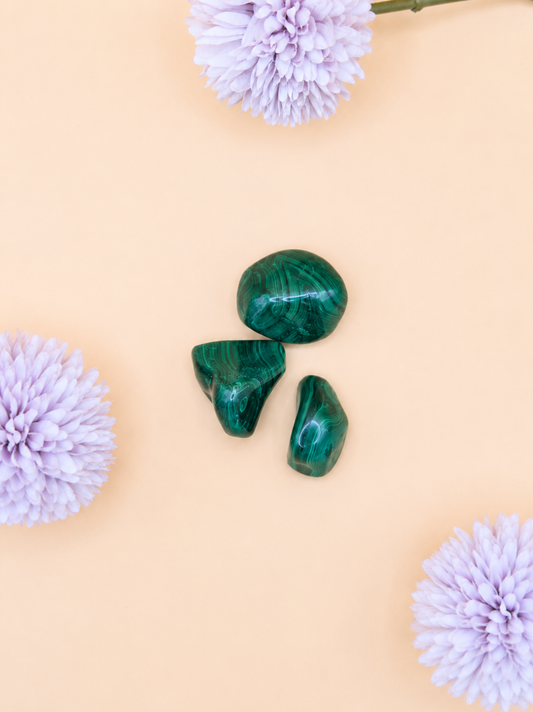 Pierre Roulée Malachite | Transformation & Protection